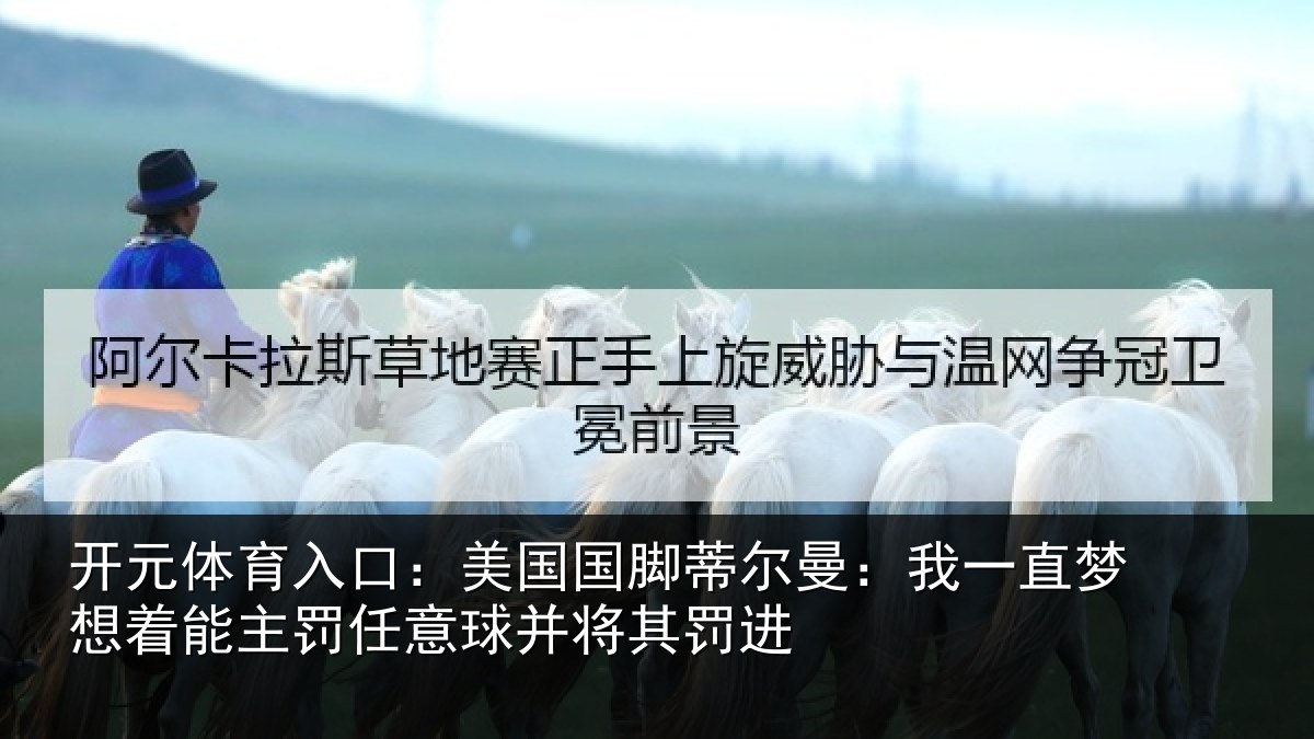 开元体育入口：美国相关情况相关情况球并将其罚进