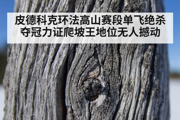 皮德科克环法高山赛段单飞绝杀夺冠力证爬坡王地位无人撼动